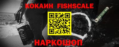 гашик Сланцы
