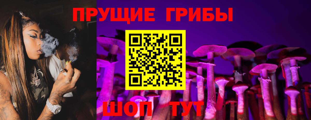 Галлюциногенные грибы прущие грибы  Вход с VPN  Галлюциногенные грибы мухоморы  Нижнеудинск 